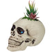 35131191 Holiday/Halloween/Halloween Indoor Decor
