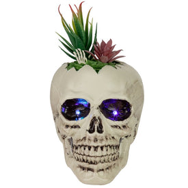 8.75" LED Lighted Succulent Halloween Skull Planter