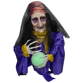 20" Lighted and Animated Fortune Teller Halloween Decoration