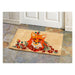 TR0691 Storage & Organization/Entryway Storage/Welcome Mats & Runners