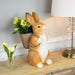 35745423 Holiday/Easter/Easter Tableware and Decor