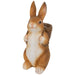 35745423 Holiday/Easter/Easter Tableware and Decor