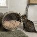 CBD1001A Decor/Pet Accessories/Pet Beds