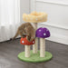 CTR1001A Decor/Pet Accessories/Pet Beds