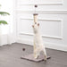 CTR1010A Decor/Pet Accessories/Other Pet Accessories