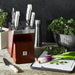 1020264 Kitchen/Cutlery/Knife Sets