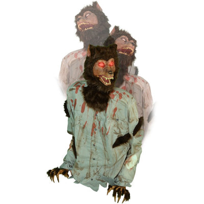 Product Image: HHHOWLER-1FLSA Holiday/Halloween/Halloween Outdoor Decor