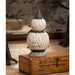 TD2210 Holiday/Halloween/Halloween Indoor Decor