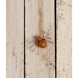 Glittered Spider Orange