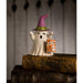 TF3241 Holiday/Halloween/Halloween Indoor Decor