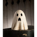 TJ2300 Holiday/Halloween/Halloween Indoor Decor
