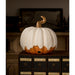 TJ2307 Holiday/Halloween/Halloween Indoor Decor