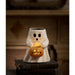 TJ2310 Holiday/Halloween/Halloween Indoor Decor