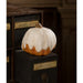 TJ2327 Holiday/Halloween/Halloween Indoor Decor