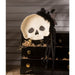 TL2356 Holiday/Halloween/Halloween Indoor Decor
