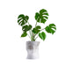 USA2001C Outdoor/Lawn & Garden/Planters