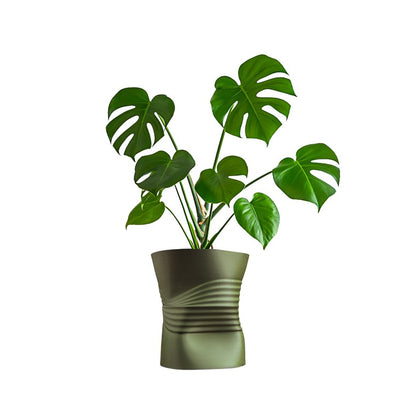 Product Image: USA2001D Outdoor/Lawn & Garden/Planters
