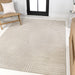 SCN100D-4 Decor/Furniture & Rugs/Area Rugs
