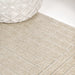SCN101E-5 Decor/Furniture & Rugs/Area Rugs