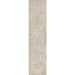 SCN104E-28 Decor/Furniture & Rugs/Area Rugs