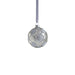 Serenity Matte Frosted Glass Ball Ornaments Set of 6