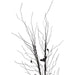 35694663 Holiday/Halloween/Halloween Indoor Decor