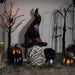 35697013 Holiday/Halloween/Halloween Indoor Decor