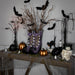 35697017 Holiday/Halloween/Halloween Indoor Decor