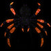 4.5' Lighted Black and Orange Spider Halloween Decoration with Purple LED Lights