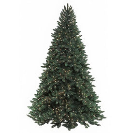 6.5' Pre-Lit Ashley Spruce Artificial Christmas Tree with 650 Clear Staylit Lights