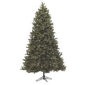 7.5' Pre-Lit Bridgeport Douglas Fir Artificial Christmas Tree with 900 Clear Staylit Lights
