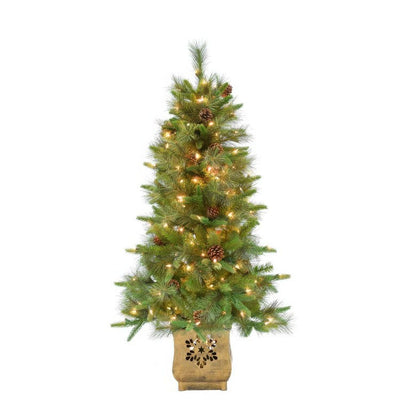 Product Image: 4' Pre-Lit Buckeye Potted Pine Artificial Christmas Tree with 150 Clear Standard Lights