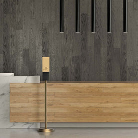 Soap Dispenser Luxe Brushed Brass Floor Standing Steel Touchless