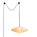 3110833MB Lighting/Ceiling Lights/Pendants