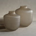 CH-7460 Decor/Decorative Accents/Vases