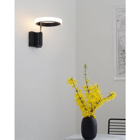Sconce Aerial 1 Lamp Weathered Brass Frosted