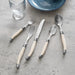 Flatware Set Connoisseur Laguiole Service for 4 20PC Ivory Acrylic/Stainless Steel