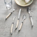 Flatware Set Connoisseur Laguiole Service for 4 20PC Ivory Acrylic/Stainless Steel
