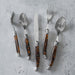 Flatware Set Connoisseur Laguiole Service for 4 20PC Tortoise Acrylic/Stainless Steel