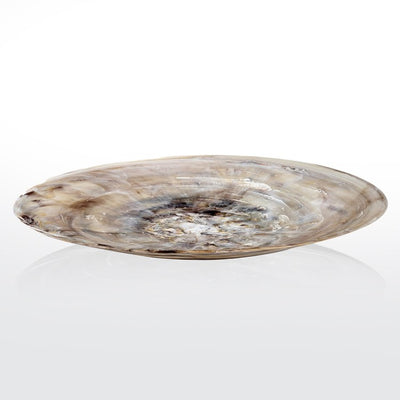 Product Image: Everyday Collection X-Large Platter