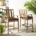 CPT1020C-SET2 Outdoor/Patio Furniture/Patio Bar Furniture