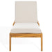CPT1055A Outdoor/Patio Furniture/Outdoor Chaise Lounges