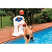 30930635 Outdoor/Pool Supplies/Pool Floats Toys and Games