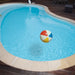 31477433 Outdoor/Pool Supplies/Pool Floats Toys and Games