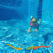 32233890 Outdoor/Pool Supplies/Pool Floats Toys and Games