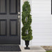 35133804 Decor/Faux Florals/Plants & Trees