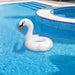 32558242 Outdoor/Pool Supplies/Pool Floats Toys and Games