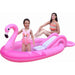 34310294 Outdoor/Pool Supplies/Pool Floats Toys and Games