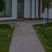 19.75" Black Solar Powered LED Pathway Markers Set of 4