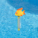 32234699 Outdoor/Pool Supplies/Pool Accessories